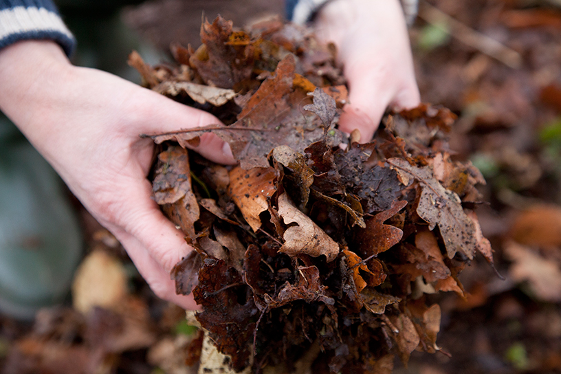 Bladcompost vasthouden